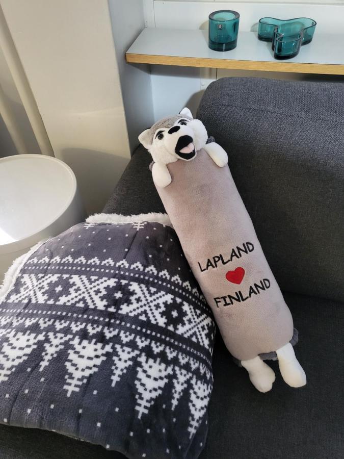 Cozy Studio In The City Center Rovaniemi Ngoại thất bức ảnh